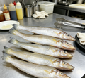 Whole fresh sardines on a stainless steel tray