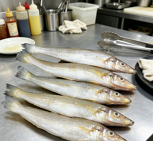 Whole fresh sardines on a stainless steel tray